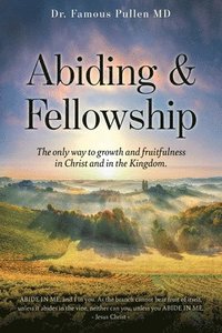 bokomslag Abiding & Fellowship