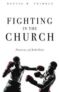 bokomslag Fighting In The Church