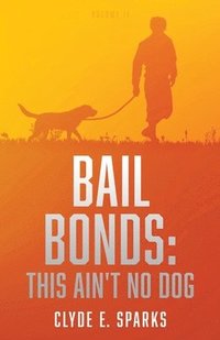 bokomslag Bail Bonds