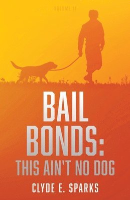 Bail Bonds 1