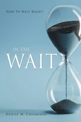 bokomslag In the Wait