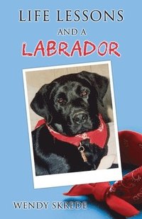 bokomslag Life Lessons and a Labrador