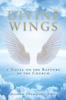 Divine Wings 1