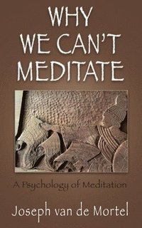 bokomslag Why We Can't Meditate: A Psychology of Meditation