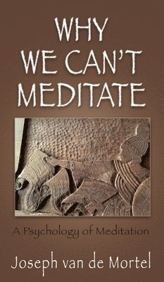 bokomslag Why We Can't Meditate: A Psychology of Meditation