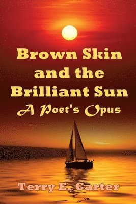 Brown Skin and the Brilliant Sun