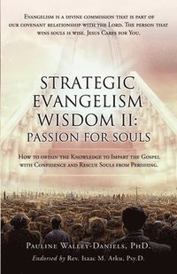 bokomslag Strategic Evangelism Wisdom II