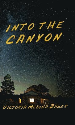 Into the Canyon 1