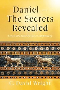 bokomslag Daniel - The Secrets Revealed: Expository Verse by Verse Commentary