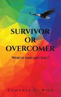 bokomslag Survivor or Overcomer