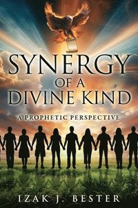 bokomslag Synergy of a Divine Kind