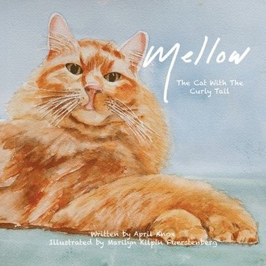 bokomslag Mellow