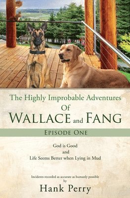 bokomslag The Highly Improbable Adventures Of Wallace and Fang