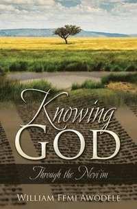 bokomslag Knowing God: Through the Nevi'im