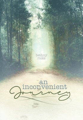 An inconvenient journey 1