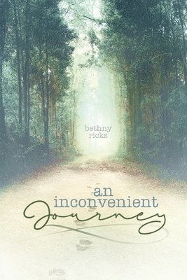 An inconvenient journey 1