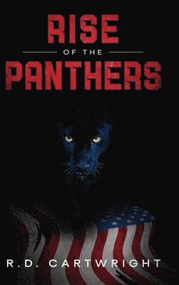 bokomslag Rise of The Panthers