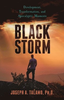 bokomslag Black Storm