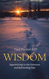 bokomslag Wisdom