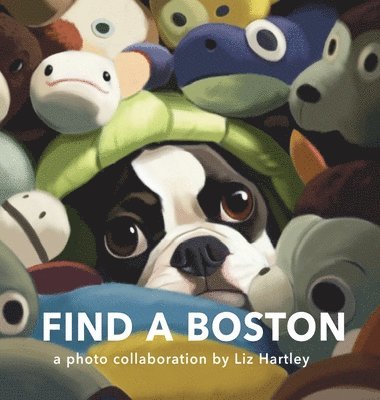 bokomslag Find a Boston