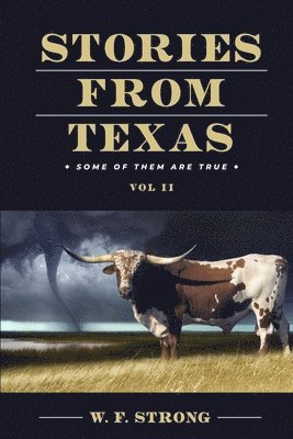 bokomslag Stories from Texas