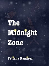 bokomslag Midnight Zone