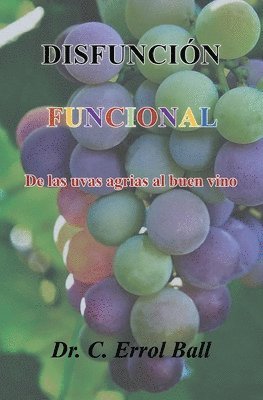 bokomslag Disfunción Funcional