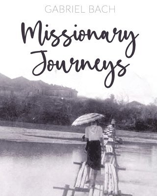 bokomslag Missionary Journeys