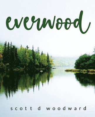 everwood 1