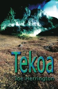 bokomslag Tekoa