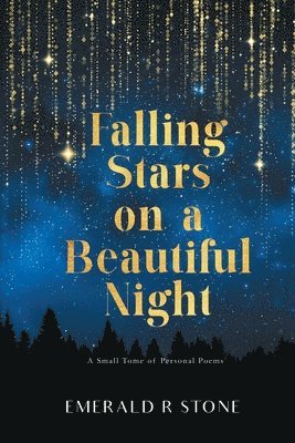 Falling Stars on a Beautiful Night 1