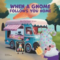 bokomslag When A Gnome Follows You Home