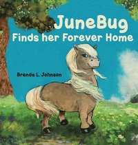 bokomslag JuneBug Finds Her Forever Home