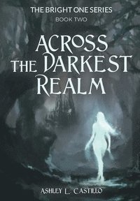 bokomslag Across the Darkest Realm