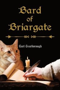 bokomslag Bard of Briargate