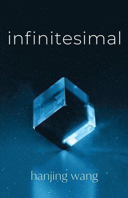 bokomslag Infinitesimal