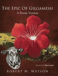 bokomslag Epic of Gilgamesh