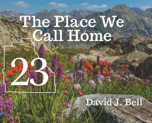 Dave Bell - 23, Inbunden