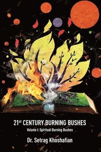 bokomslag 21st Century Burning Bushes