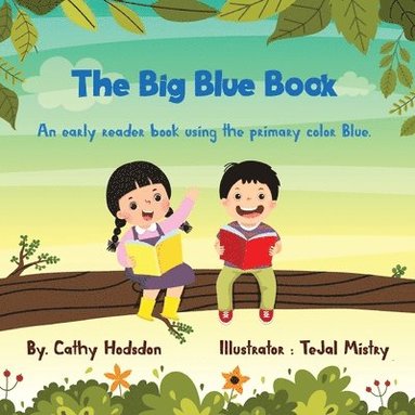 bokomslag Big Blue Book
