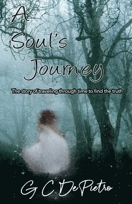 bokomslag A Soul's Journey