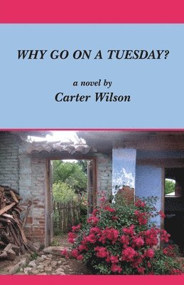 Carter Wilson - Why Go on a Tuesday?, Häftad
