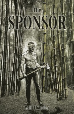 bokomslag Sponsor