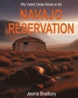 bokomslag Why Violent Crimes Persist on the Navajo Reservation