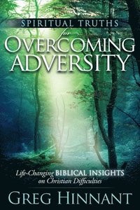 bokomslag Spiritual Truths for Overcoming Adversity