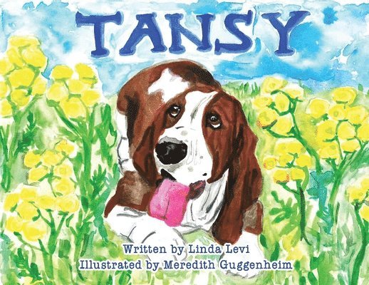 Tansy 1