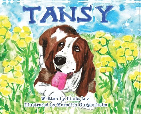 Tansy 1