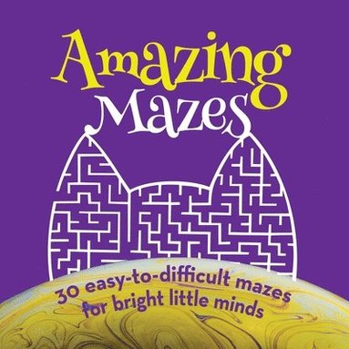 bokomslag Amazing Mazes and Riddles