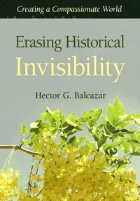 bokomslag Erasing Historical Invisibility