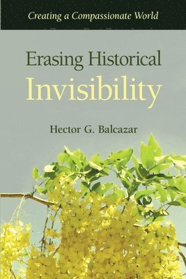 bokomslag Erasing Historical Invisibility
